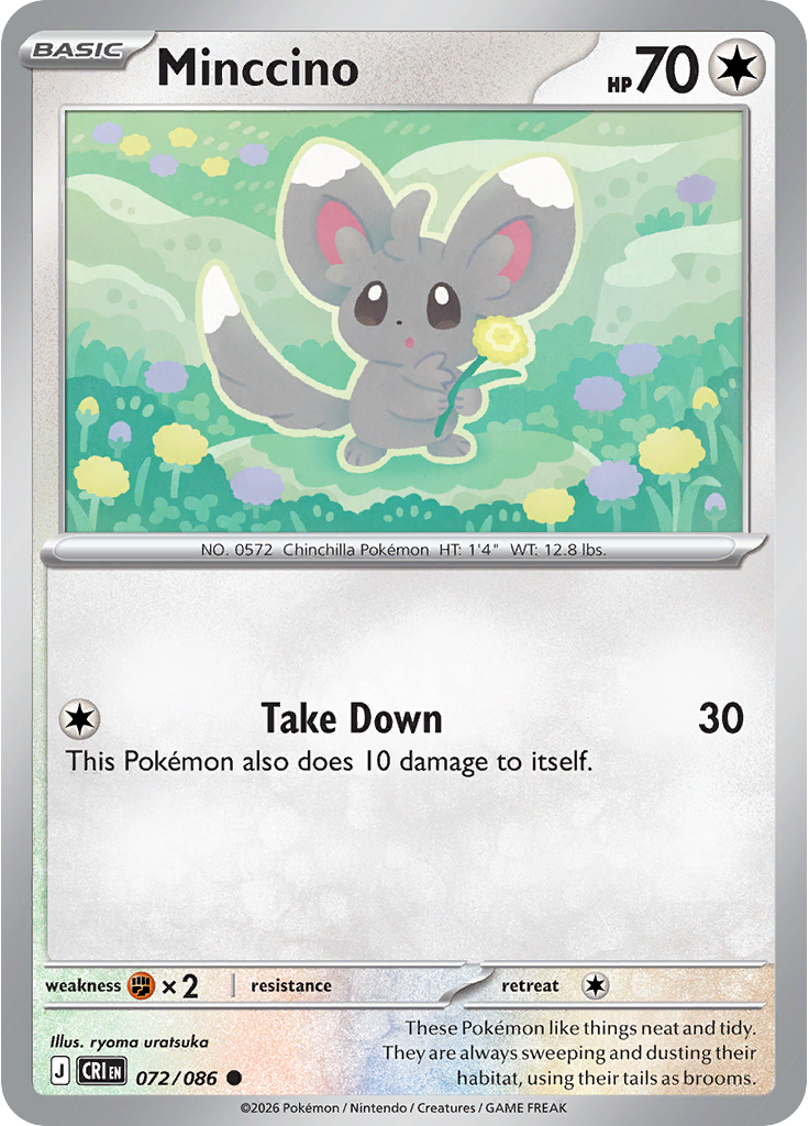 Minccino