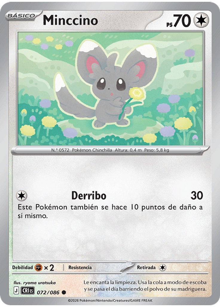 Minccino