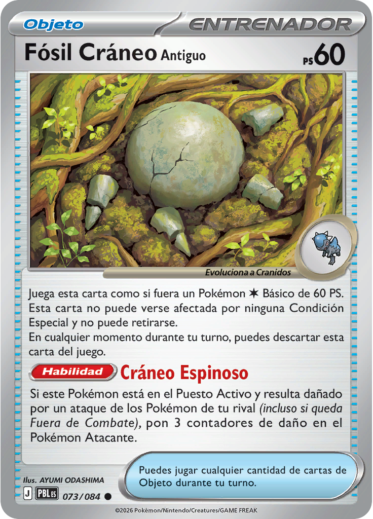 Fósil Cráneo Antiguo