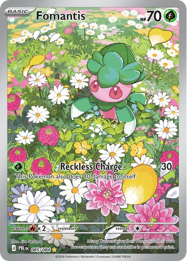 Fomantis