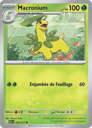 Macronium (Reverse Holo)