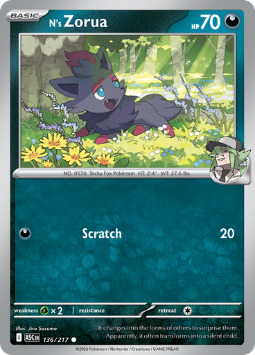 N's Zorua