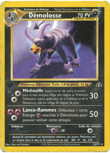 Démolosse
