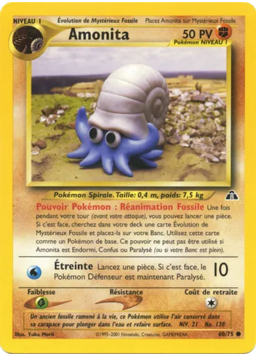 Amonita (1st Edition)
