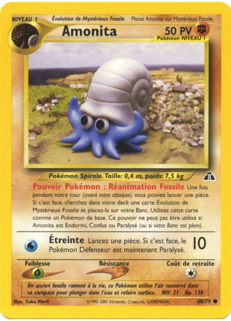 Amonita