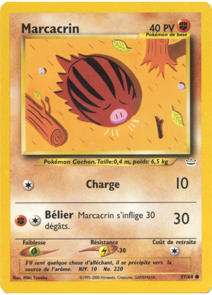 Marcacrin