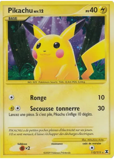 Pikachu Niv. 12