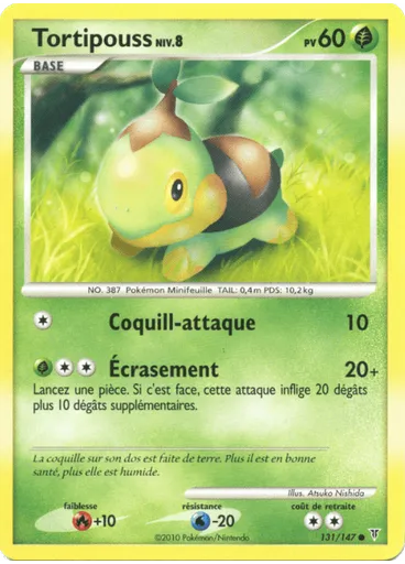 Tortipouss