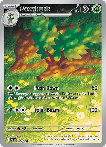 Sawsbuck
