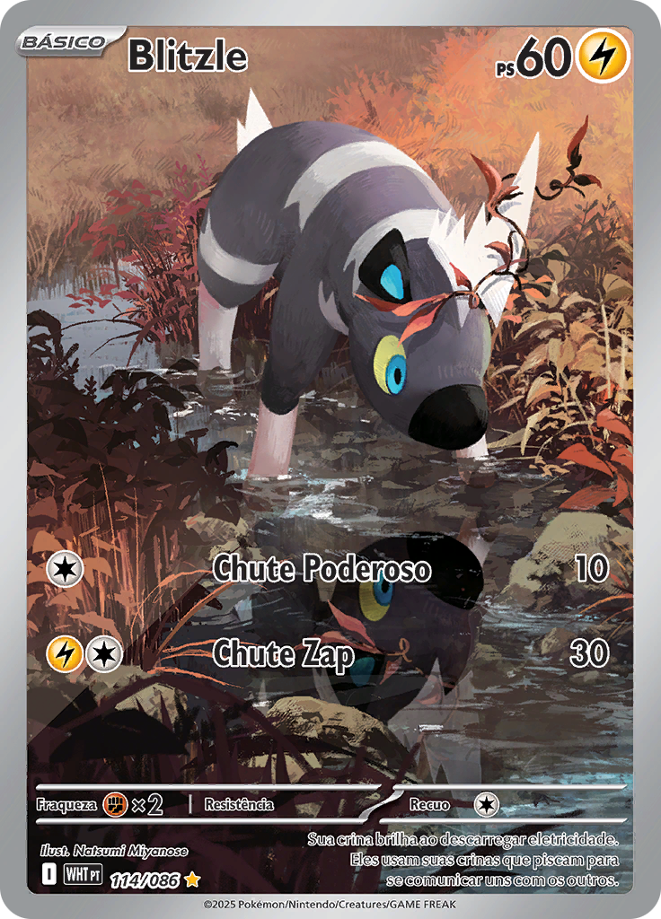 Blitzle