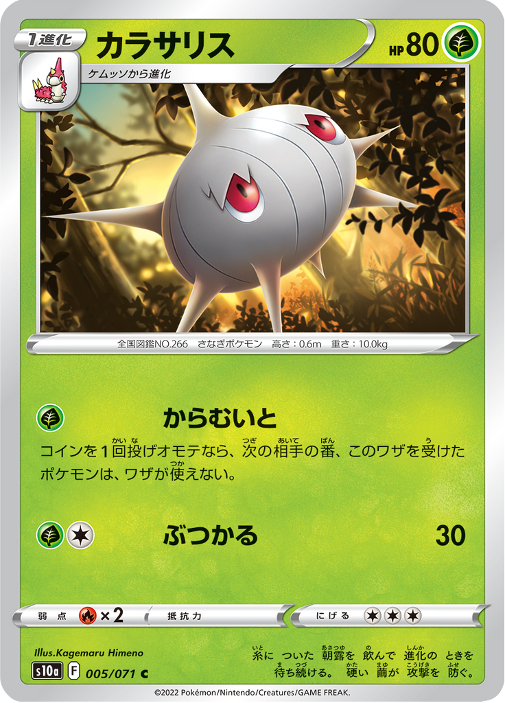 Silcoon