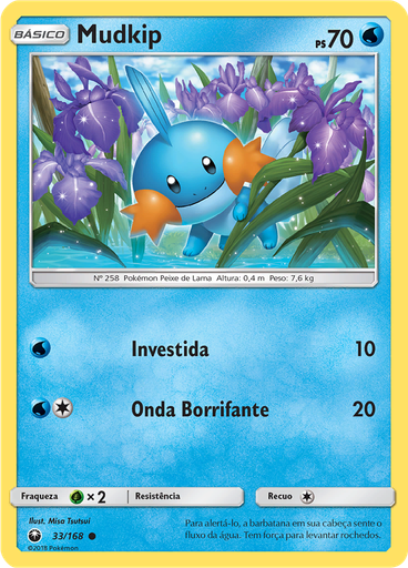 Mudkip