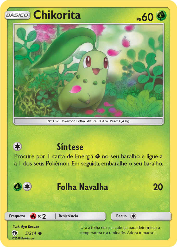 Chikorita