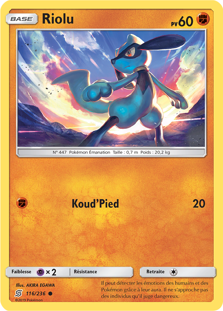 Riolu (Reverse Holo)