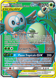 Brindibou et Noadkoko d’Alola GX