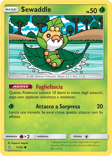 Sewaddle