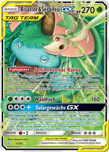 Bisaflor & Serpifeu GX