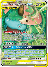 Venusaur & Snivy GX