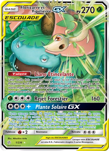 Florizarre et Vipélierre GX