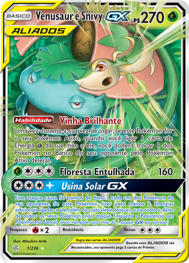 Venusaur e Snivy GX