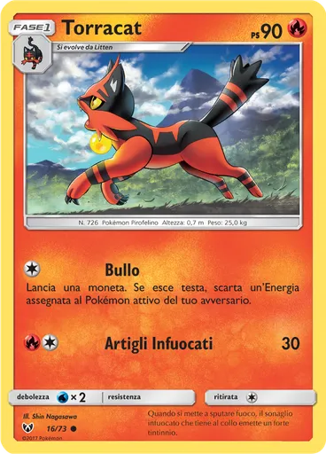 Torracat