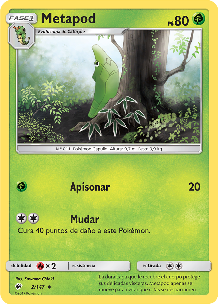 Metapod (Reverse Holo)