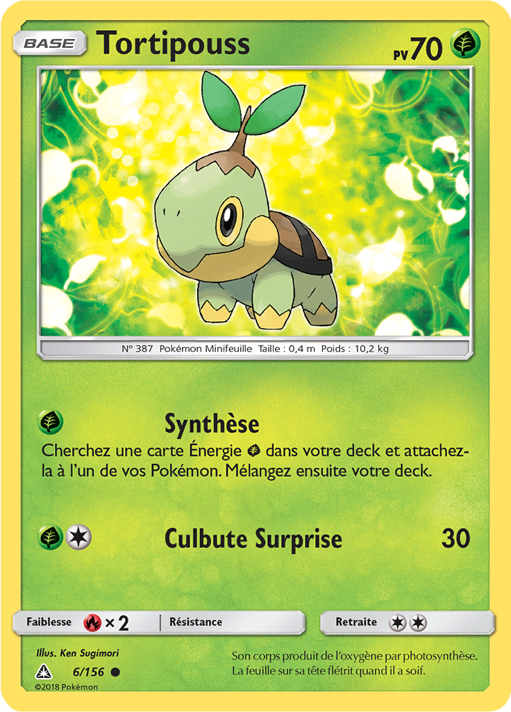 Tortipouss