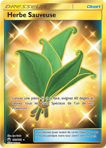 Herbe Sauveuse