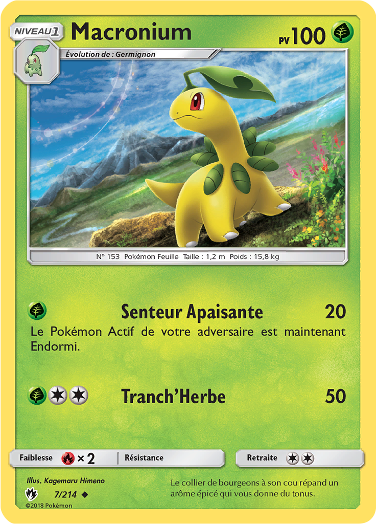 Macronium (Reverse Holo)