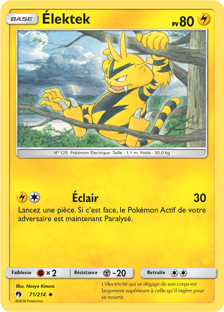 Élektek