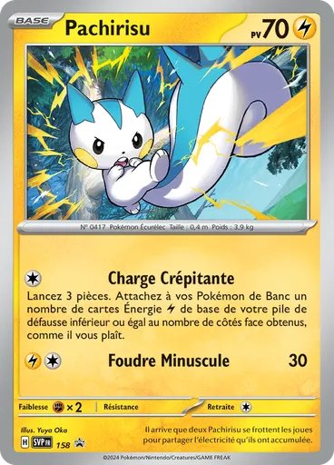 Pachirisu (Reverse Holo)
