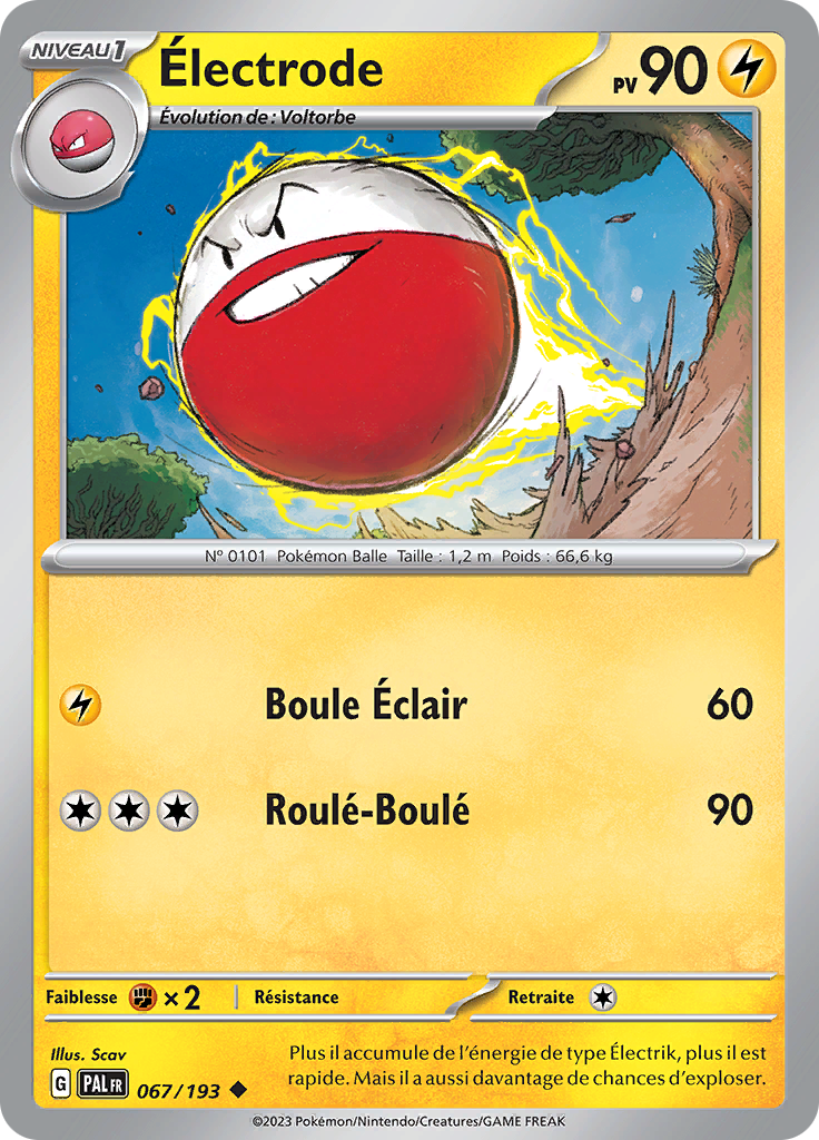 Électrode