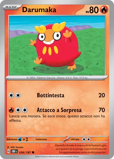 Darumaka