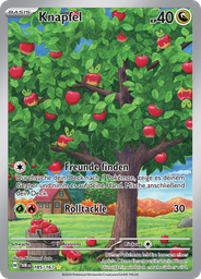 Knapfel