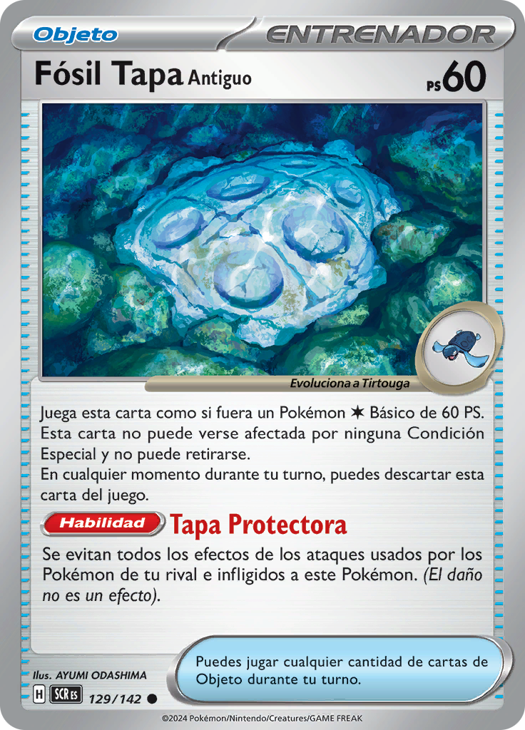 Fósil Tapa Antiguo