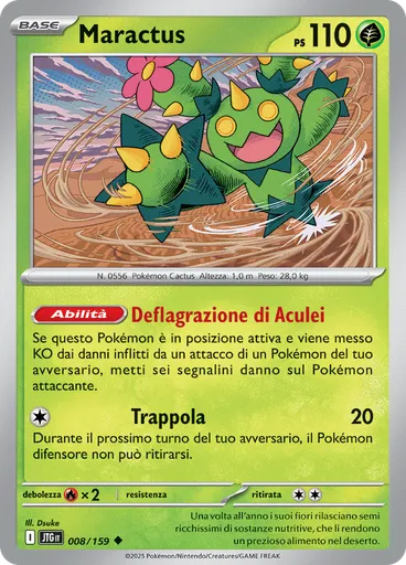 Maractus