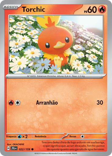 Torchic