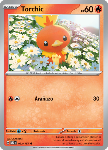 Torchic (Reverse Holo)