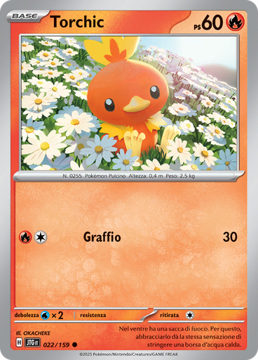 Torchic (Reverse Holo)