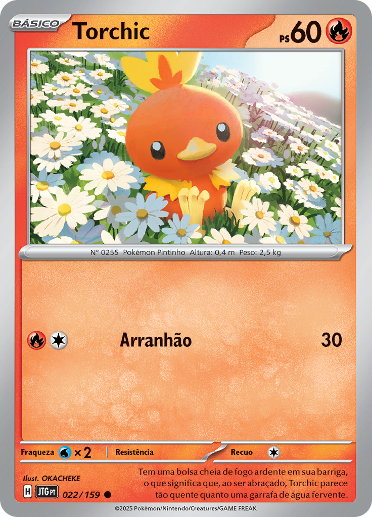 Torchic (Reverse Holo)