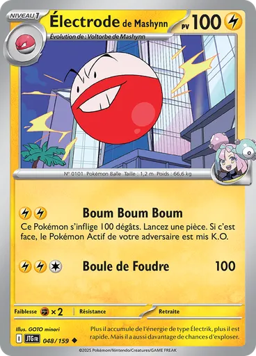 Électrode de Mashynn