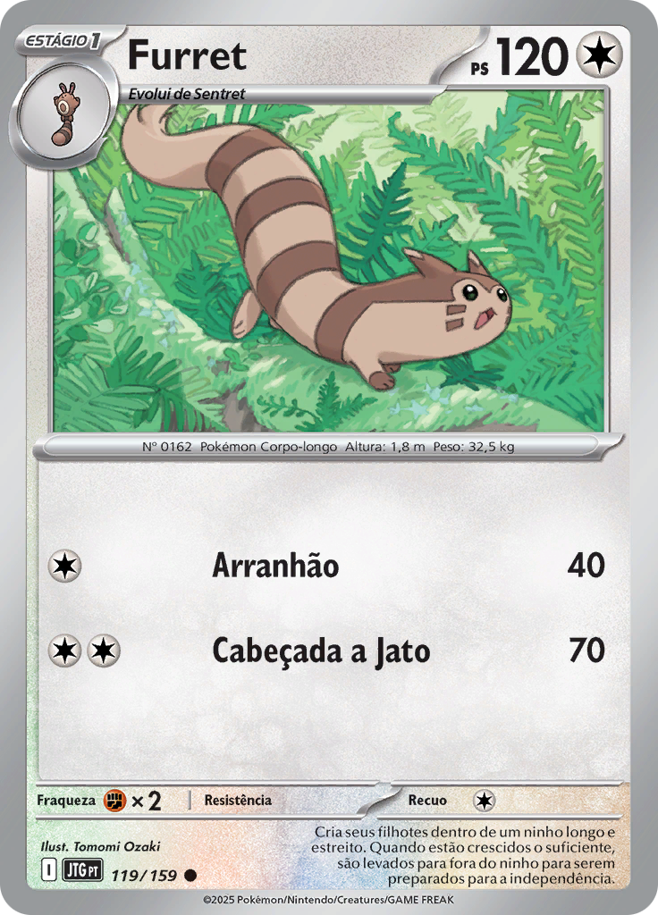 Furret (Reverse Holo)