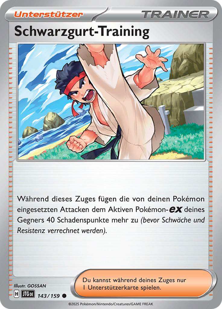 Schwarzgurt-Training (Reverse Holo)