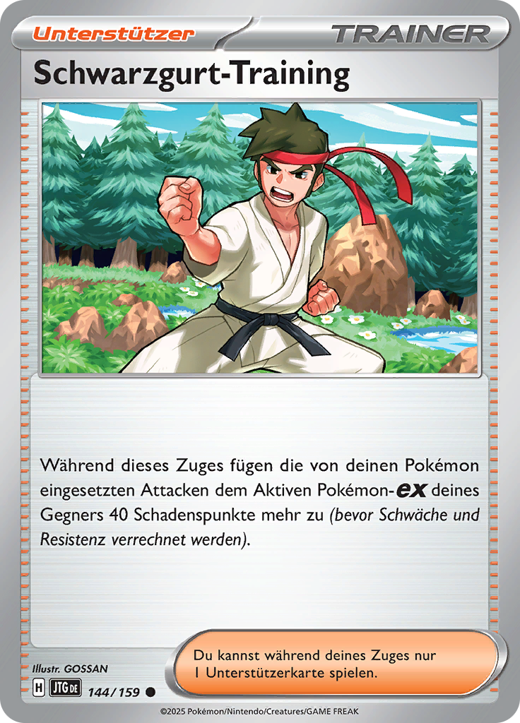 Schwarzgurt-Training (Reverse Holo)