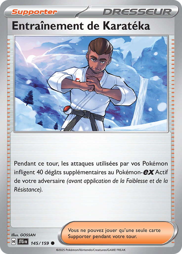 Entraînement de Karatéka (Reverse Holo)