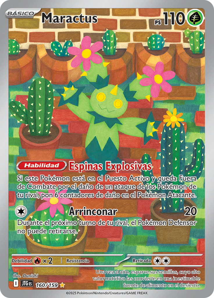 Maractus