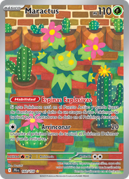 Maractus