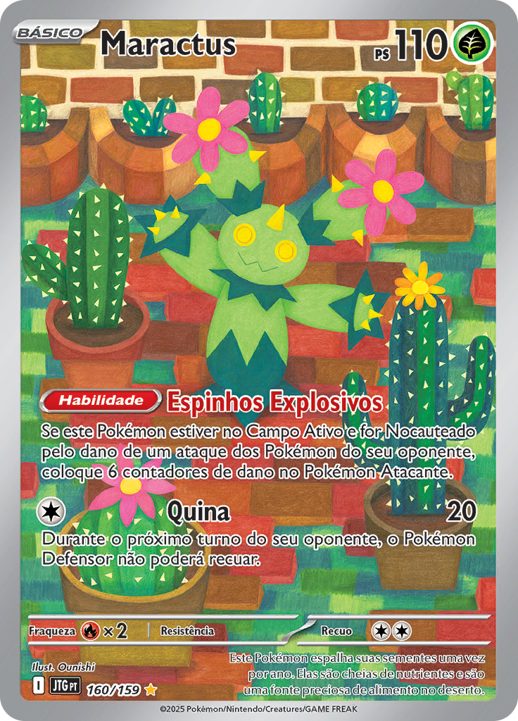 Maractus