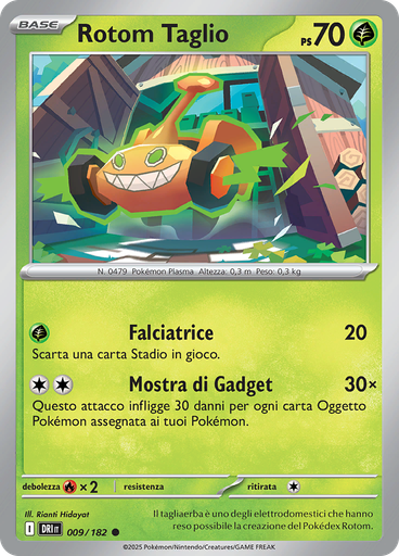 Rotom Taglio