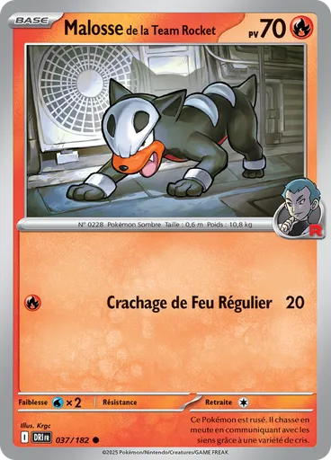Malosse de la Team Rocket